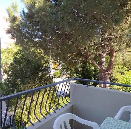 Cute 100 Mt From The Beach!